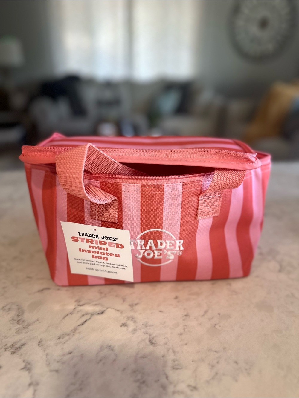 **JUST RELEASED** Trader Joe's Pink Striped Insulated Mini Tote
